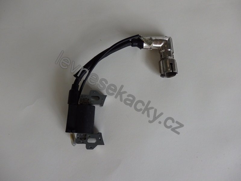 Allumage de la bobine du moteur Weibang WB 1P65FE-5HP